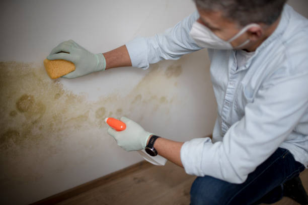 Health and Safety Mold Remediation